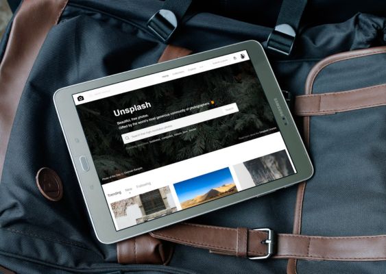 Sports Betting Software Development