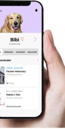 Mobile device displaying vet clinic profile