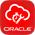 Oracle Field Service Cloud